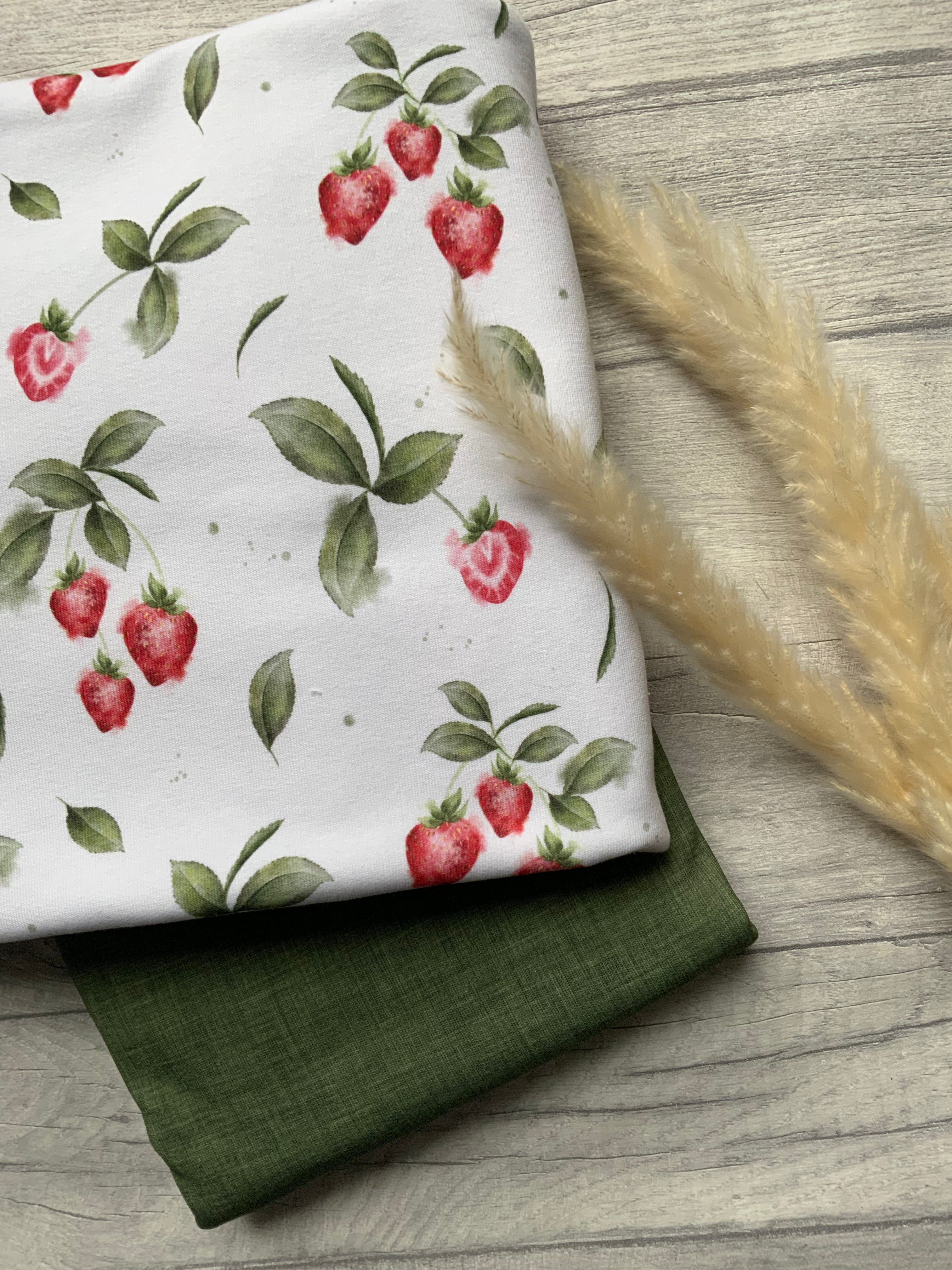 Erdbeeren Dauervorbestellung